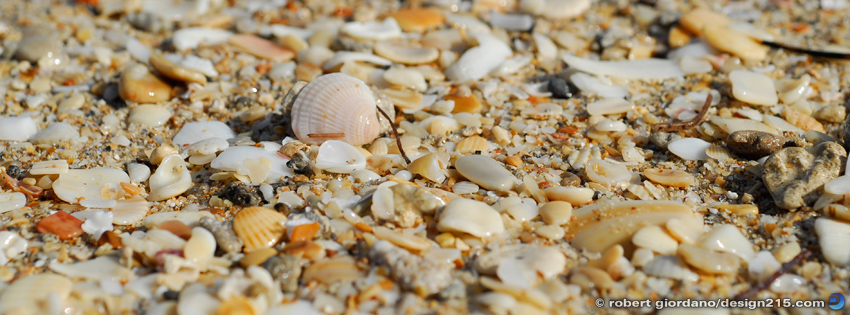Sand and Seashells - Facebook Cover Photos