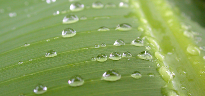 Photography by Robert Giordano